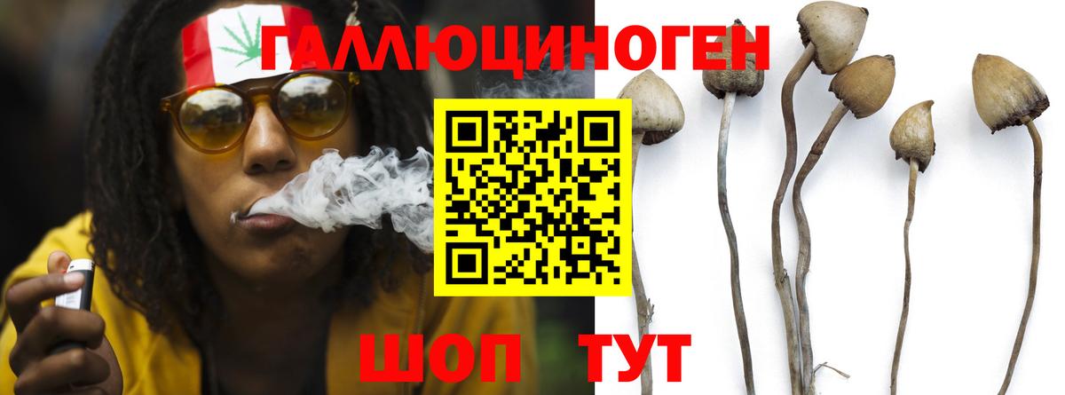 Псилоцибиновые грибы MAGIC MUSHROOMS Карпинск