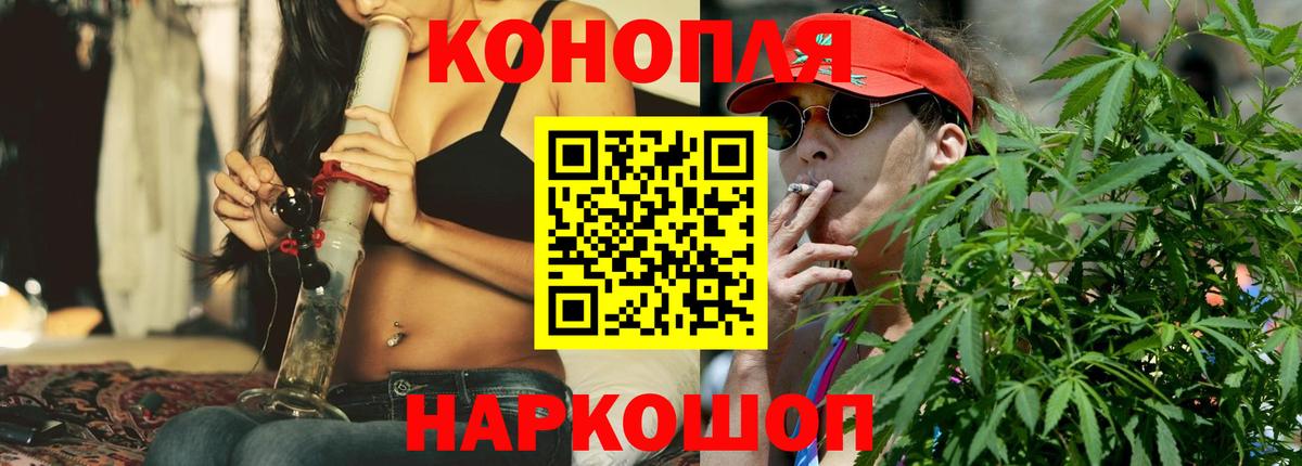 Бошки Шишки ГИДРОПОН Карпинск